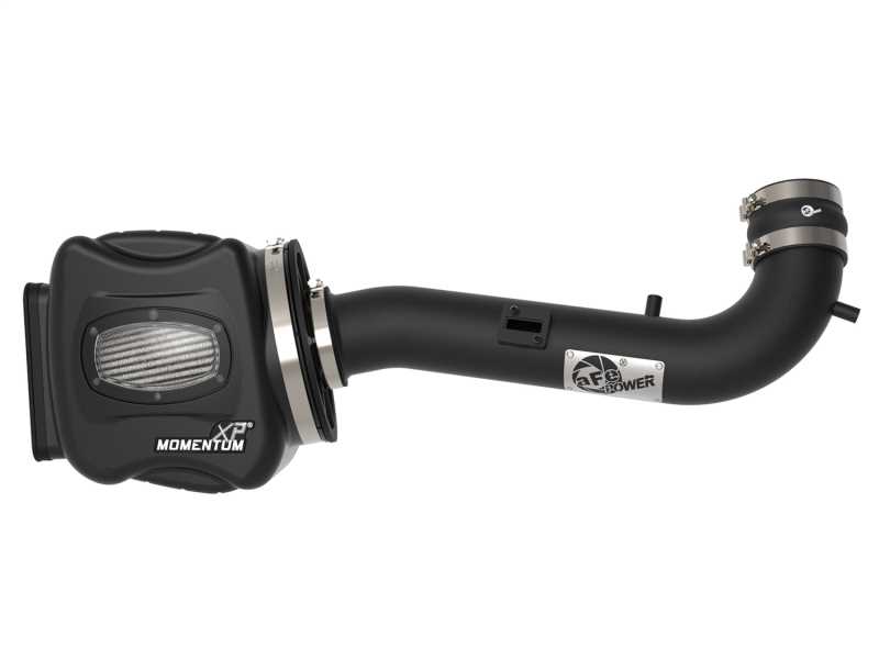 Momentum XP Pro DRY S Air Intake System 50-30028D
